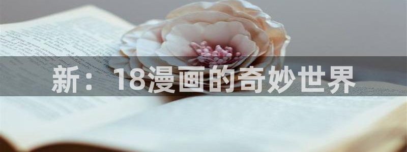 免费51漫画网站