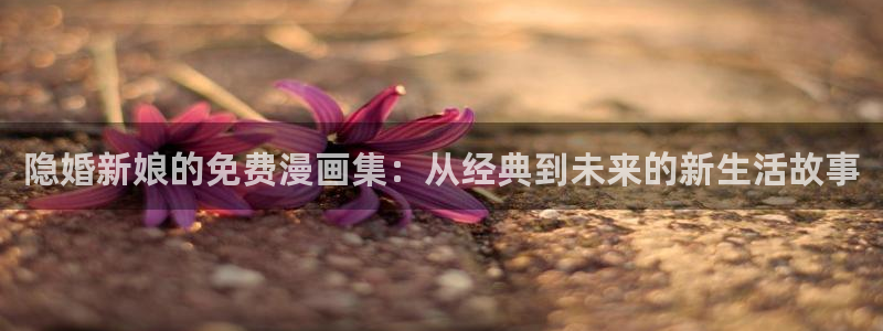 51漫画轻量版下载：隐婚新娘的免费漫画集：从经典到未来的新生活故事